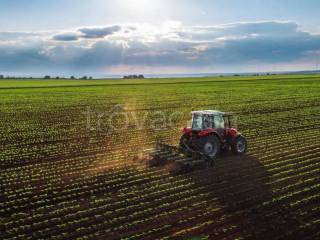 Terreno agricolo in vendita ad ariano nel polesine 