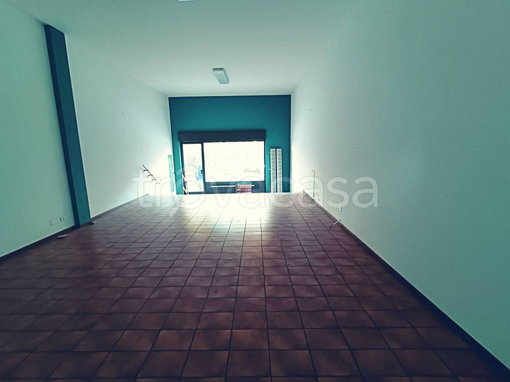 immagine annuncio 3 di 8