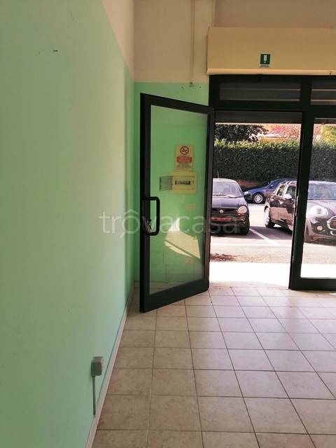 immagine annuncio 1 di 11