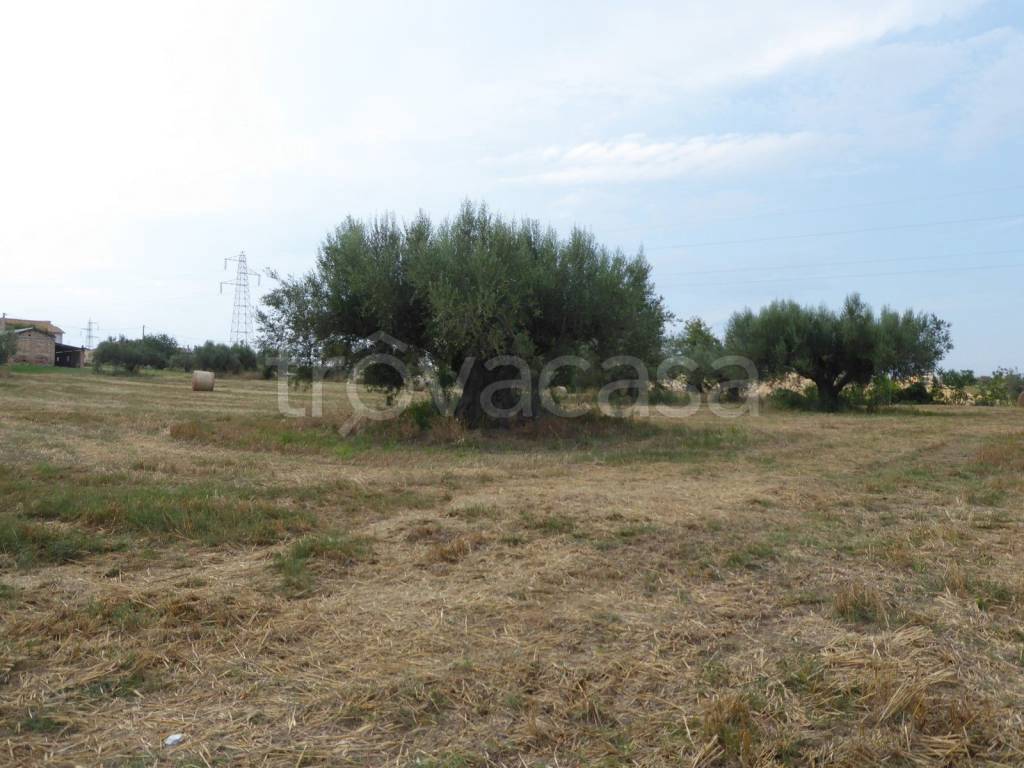 immagine annuncio 3 di 6