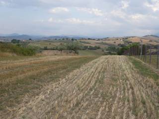 Terreno agricolo in vendita a sant'eusanio del sangro via della fonte