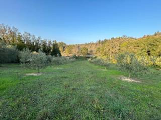 Terreno agricolo in vendita a san giovanni teatino via croce feragalli