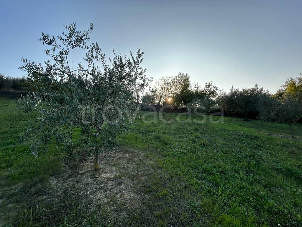 immagine annuncio 6 di 13