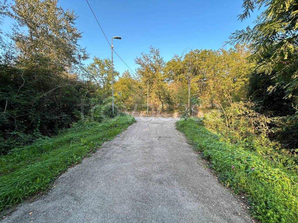 immagine annuncio 9 di 13