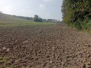 Terreno agricolo in vendita a loreto via impaccio