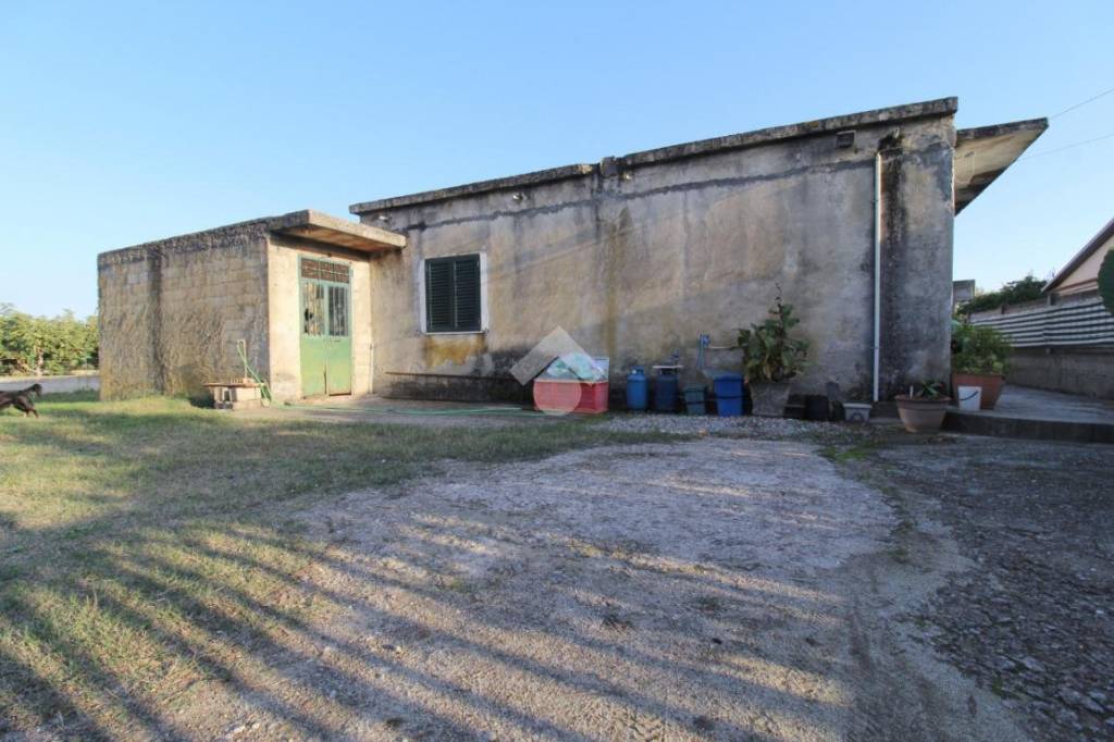 immagine annuncio 7 di 12