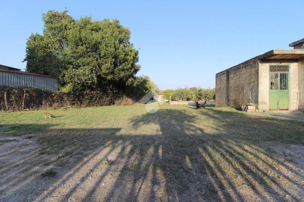 immagine annuncio 9 di 12