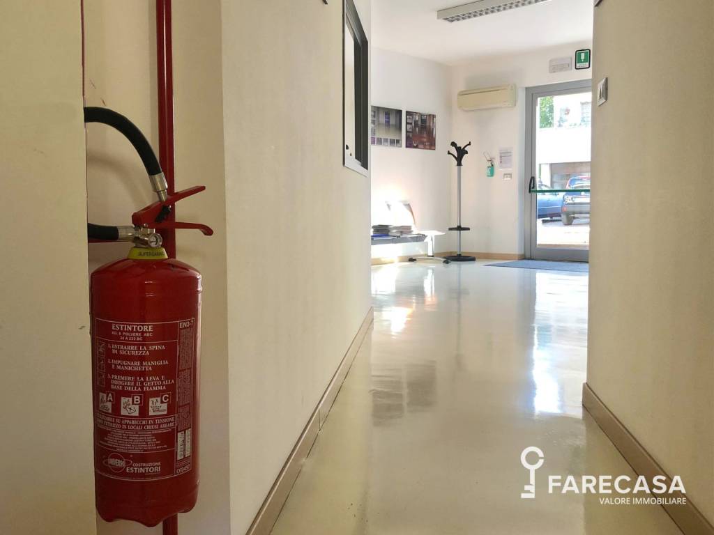 immagine annuncio 6 di 14