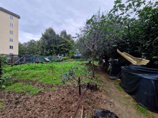 Terreno agricolo in vendita a prato via tirso, 13