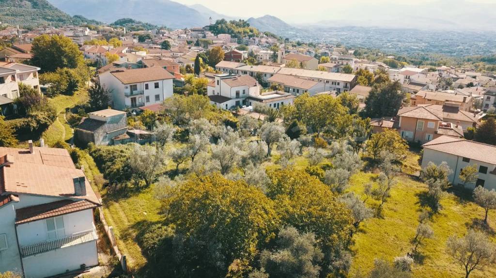 immagine annuncio 1 di 6