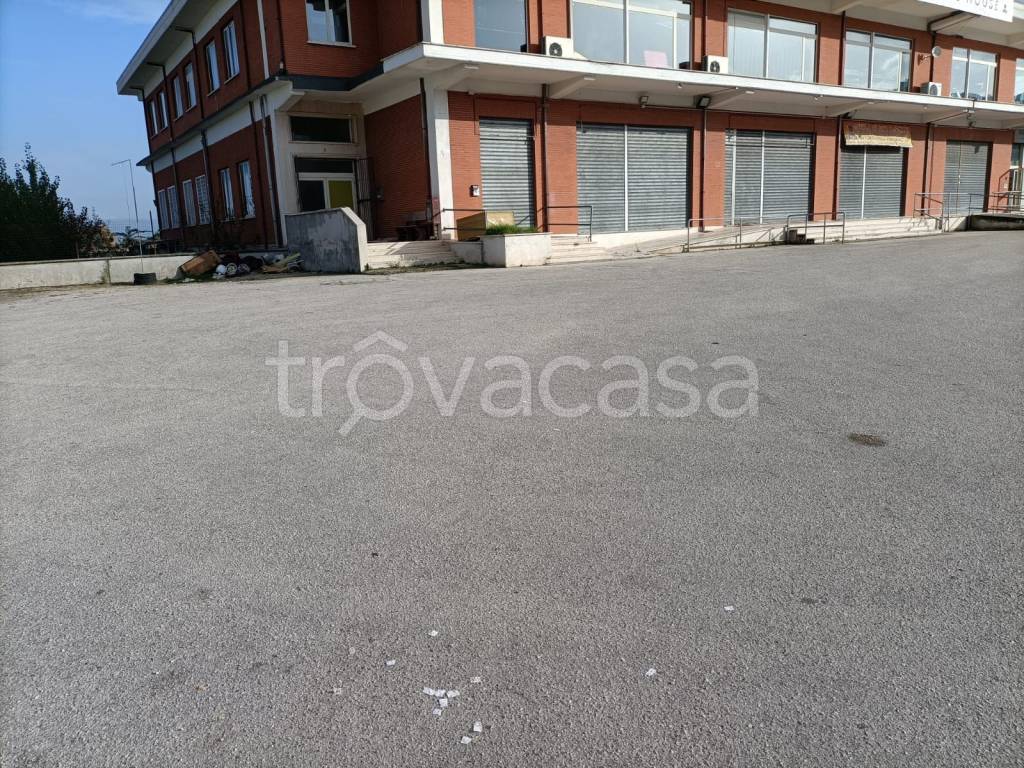 immagine annuncio 5 di 12