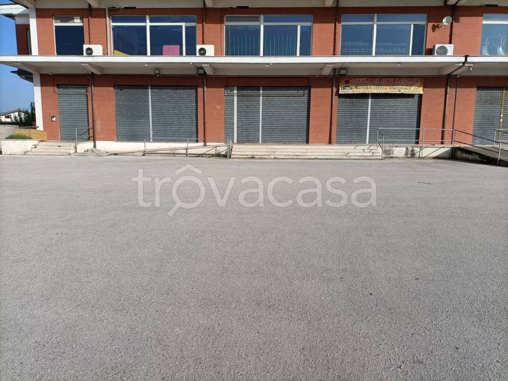 immagine annuncio 6 di 12