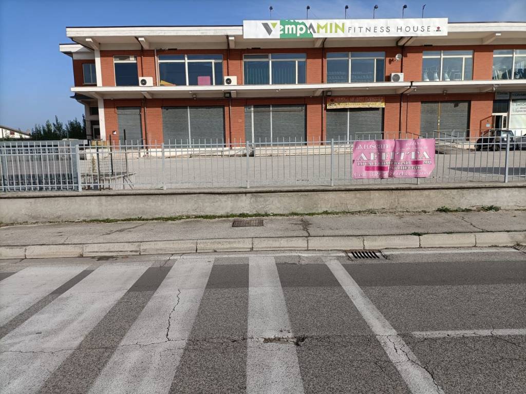 immagine annuncio 10 di 12