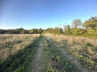 Terreno agricolo in vendita a montecastrilli vocabolo s. egidio