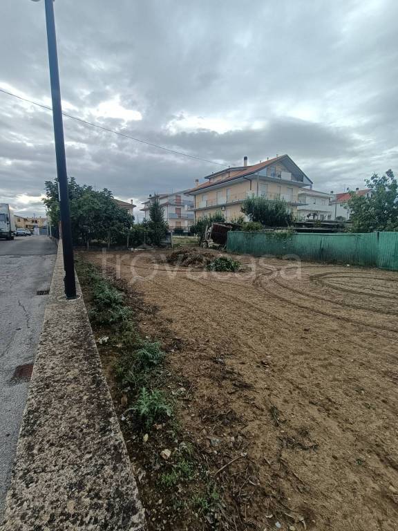 immagine annuncio 5 di 8