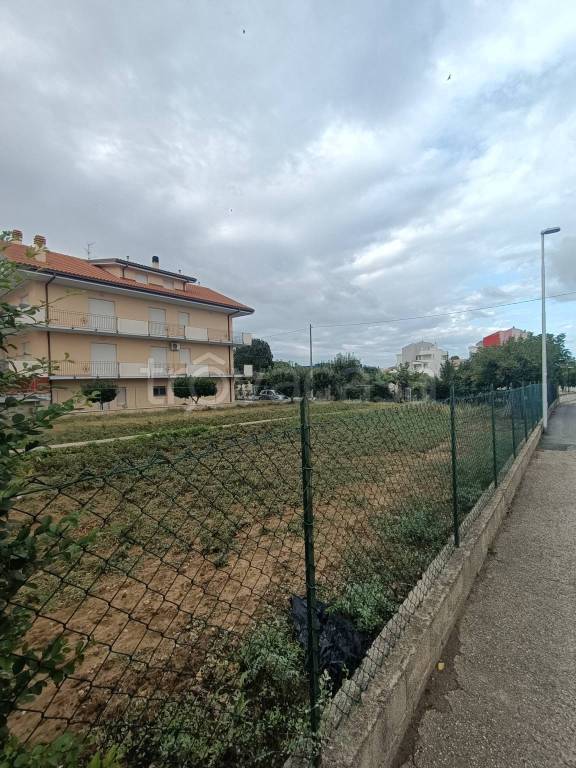 immagine annuncio 6 di 8