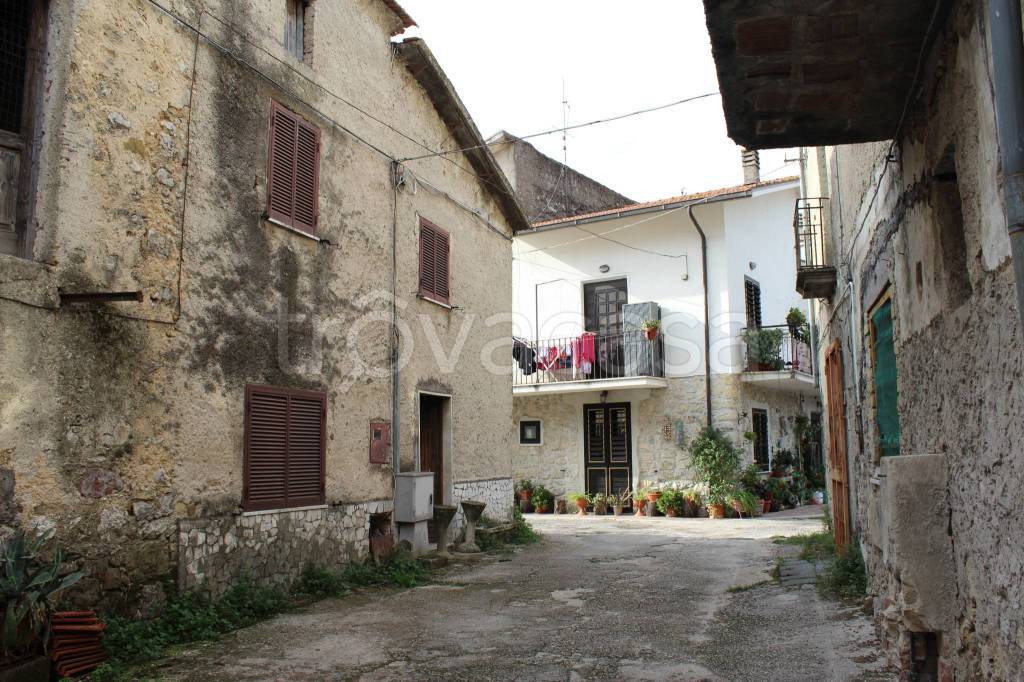 immagine annuncio 2 di 12