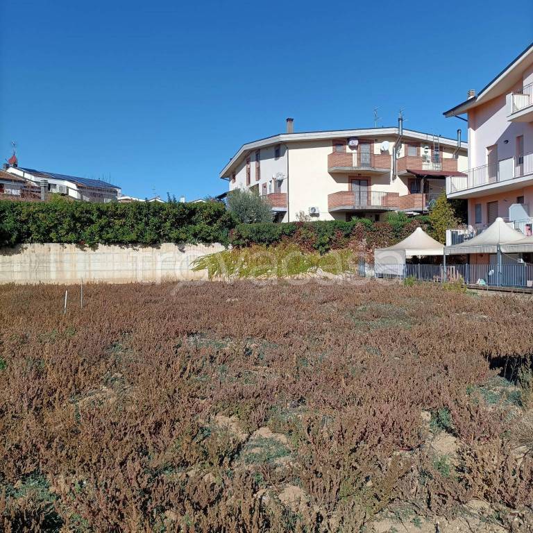 immagine annuncio 6 di 9