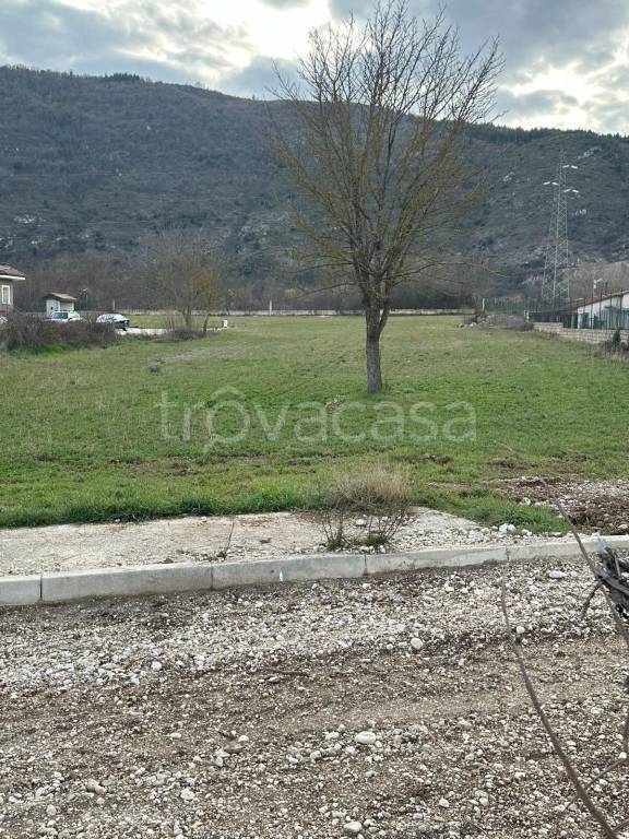 immagine annuncio 4 di 14