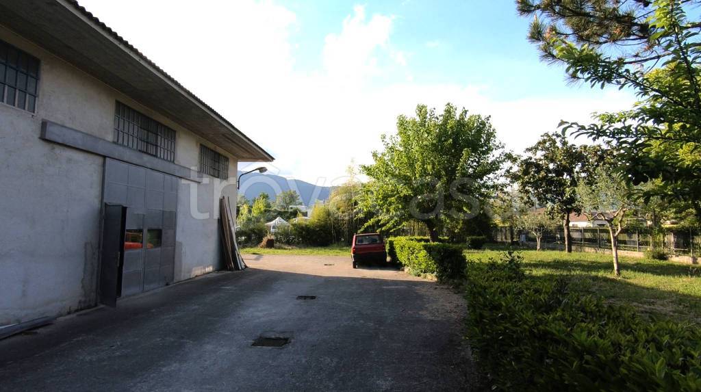 immagine annuncio 6 di 13