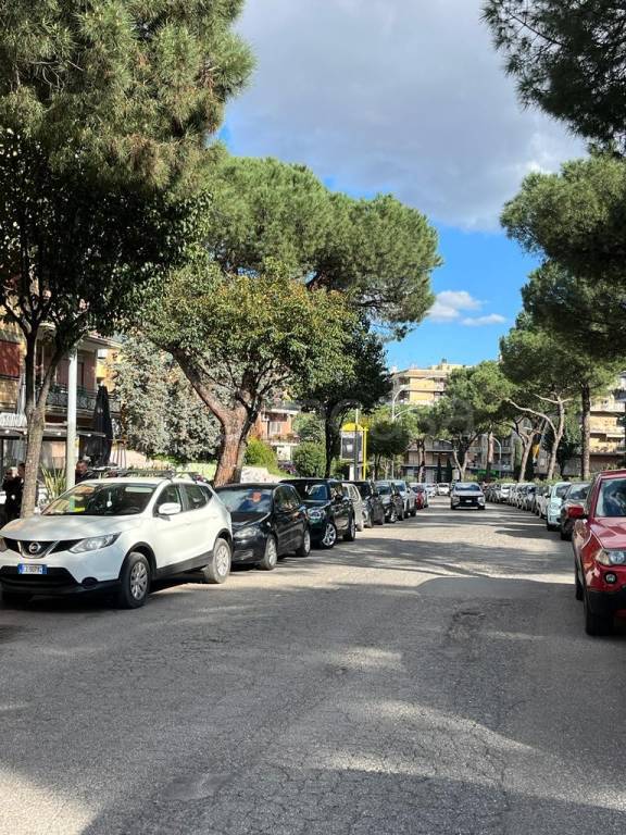 immagine annuncio 7 di 8
