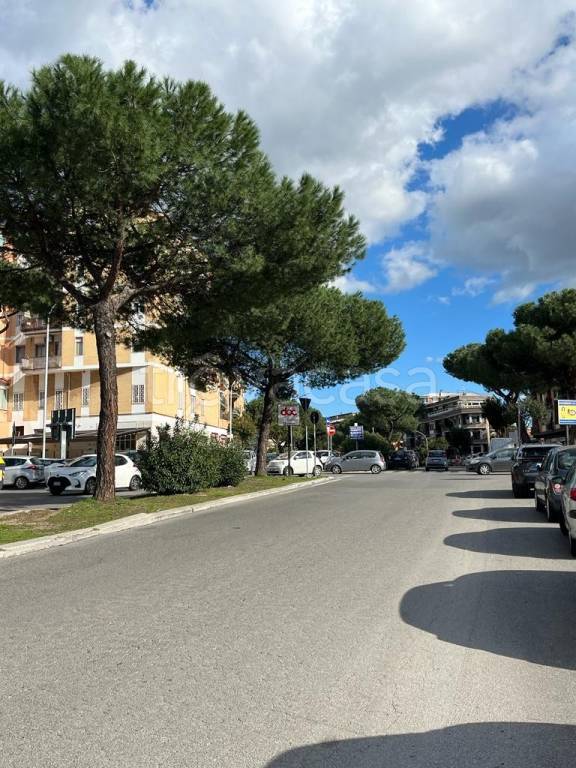 immagine annuncio 4 di 8