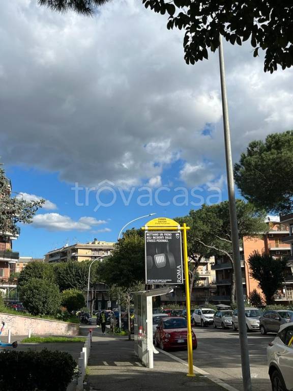 immagine annuncio 2 di 8