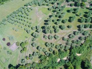 Terreno agricolo in vendita a siena colonna san marco