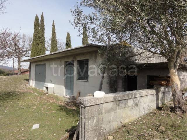 immagine annuncio 2 di 12