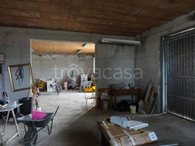 immagine annuncio 7 di 12