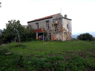 Terreno agricolo in vendita a stella cilento loc. caselle