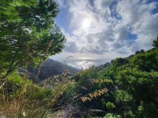 Terreno agricolo in vendita a san mauro cilento localita' stilli