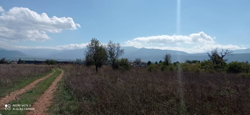 immagine annuncio 2 di 4
