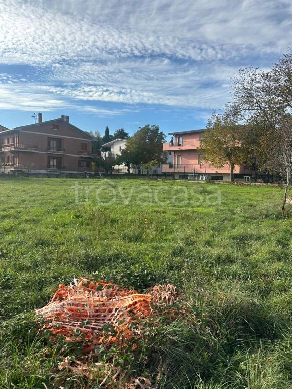 immagine annuncio 11 di 12