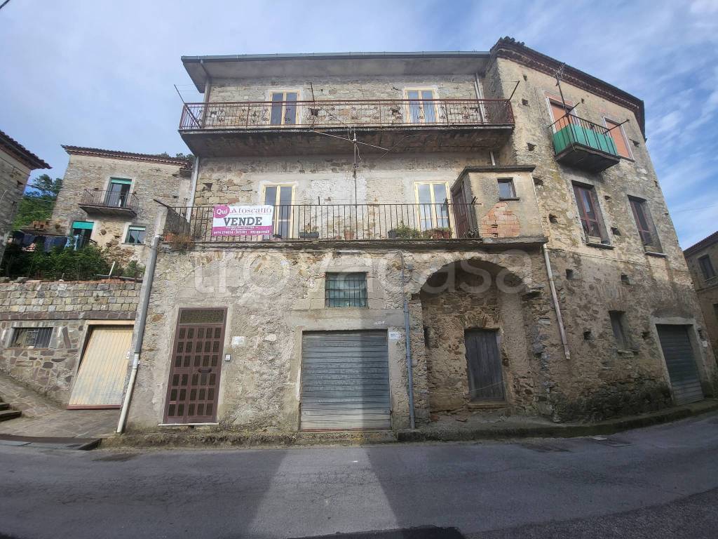 immagine annuncio 12 di 14