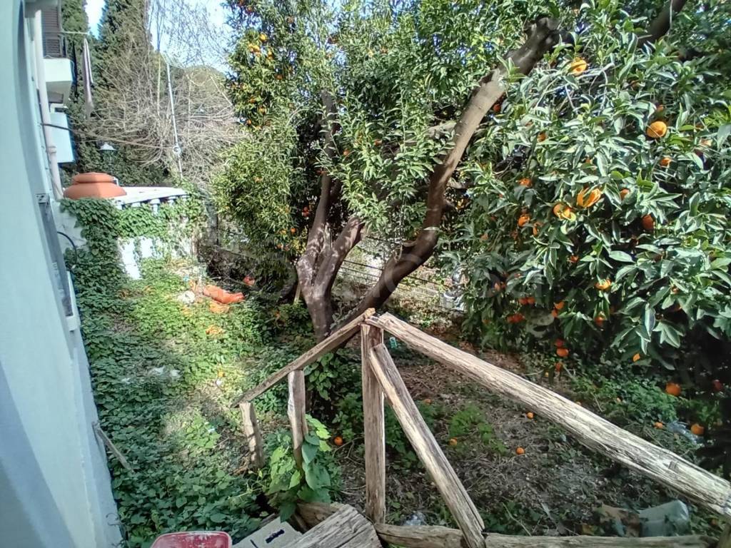 immagine annuncio 2 di 12