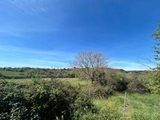 Terreno agricolo in vendita a noto noto baulì