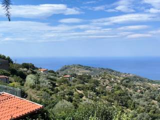 Terreno agricolo in vendita a san mauro cilento san mauro cilento