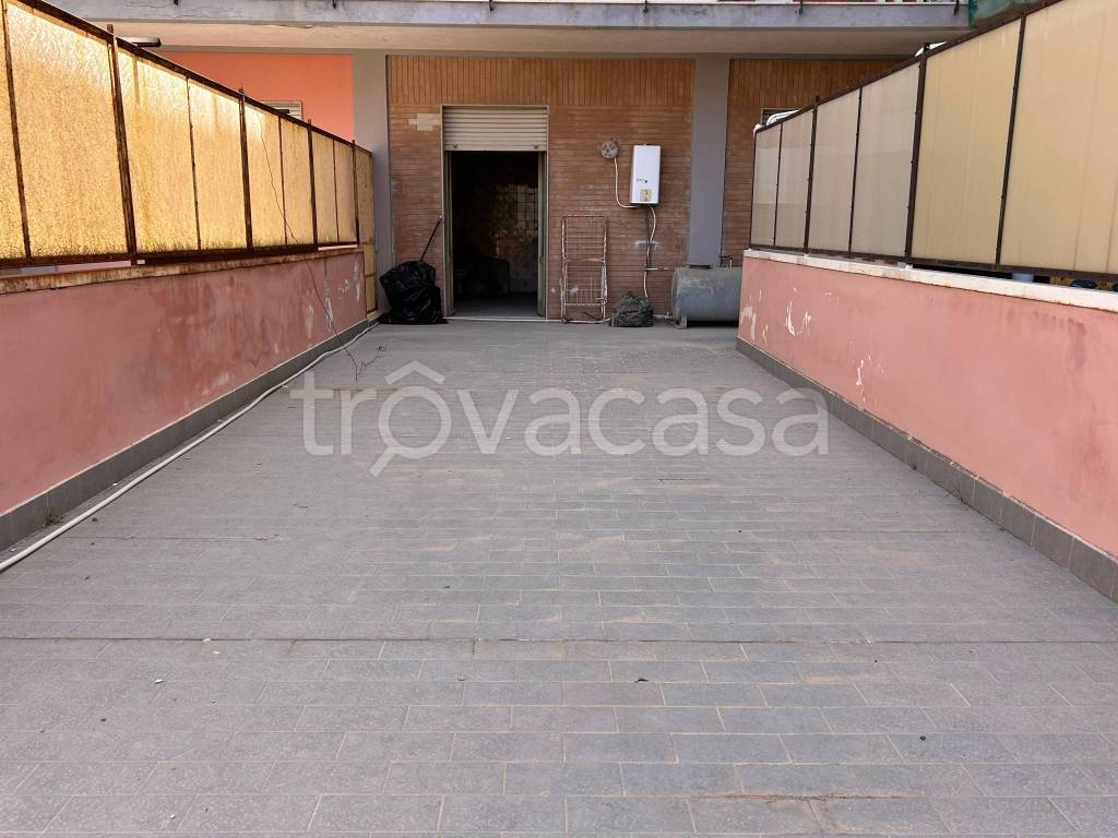 immagine annuncio 8 di 14