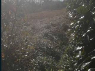 Terreno agricolo all'asta a fondi via san giovanni