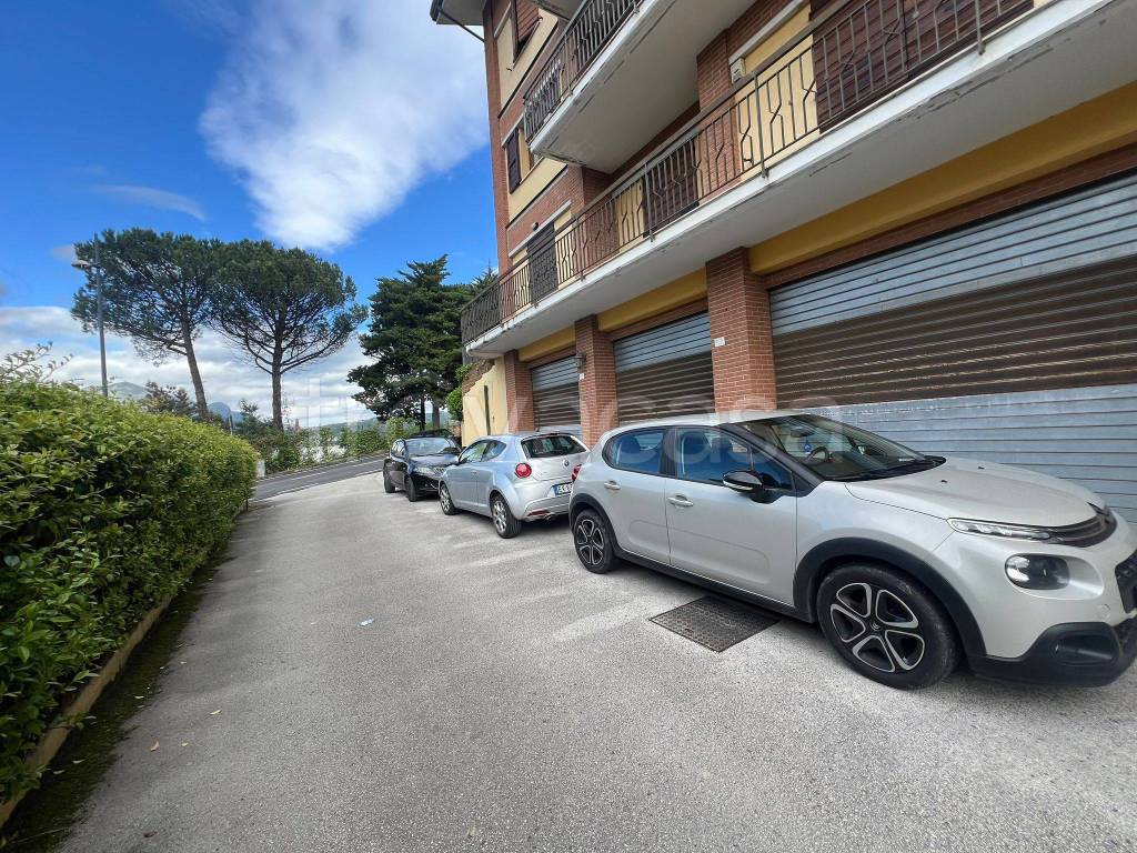 immagine annuncio 2 di 12