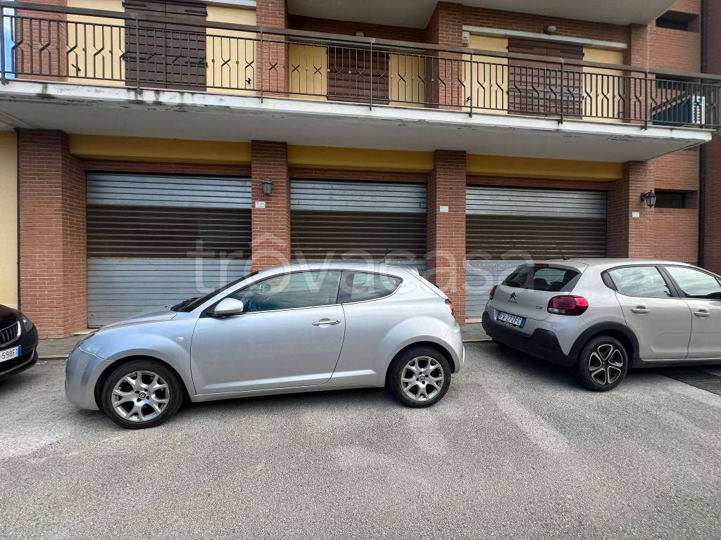 immagine annuncio 5 di 12
