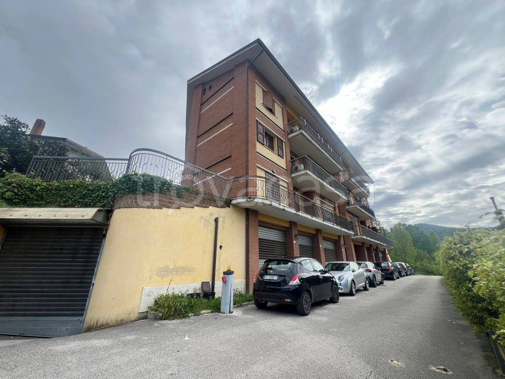 immagine annuncio 9 di 12