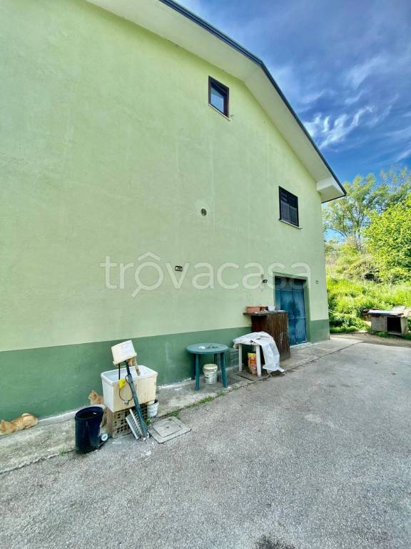 immagine annuncio 2 di 13