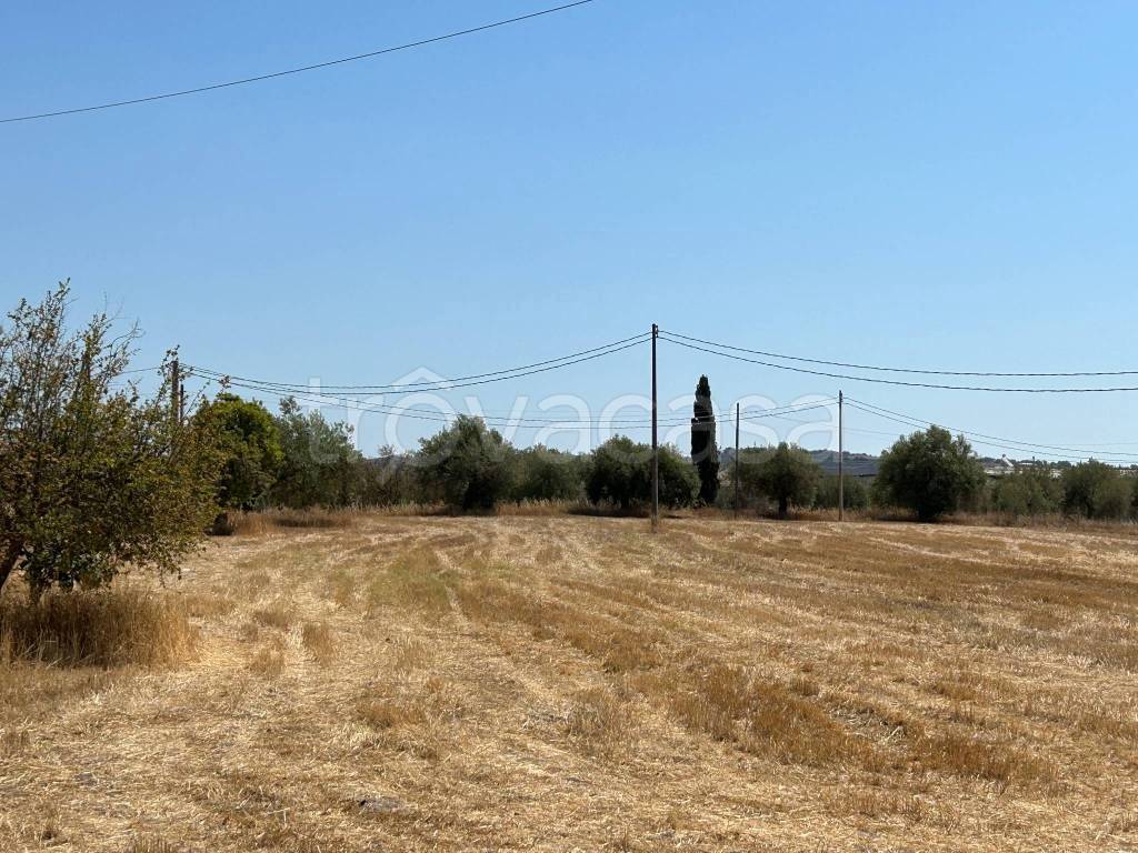 immagine annuncio 4 di 14