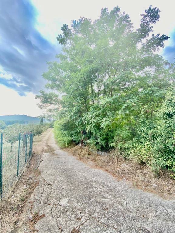 immagine annuncio 6 di 13