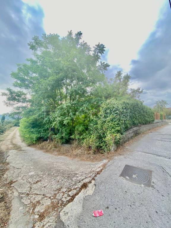 immagine annuncio 9 di 13