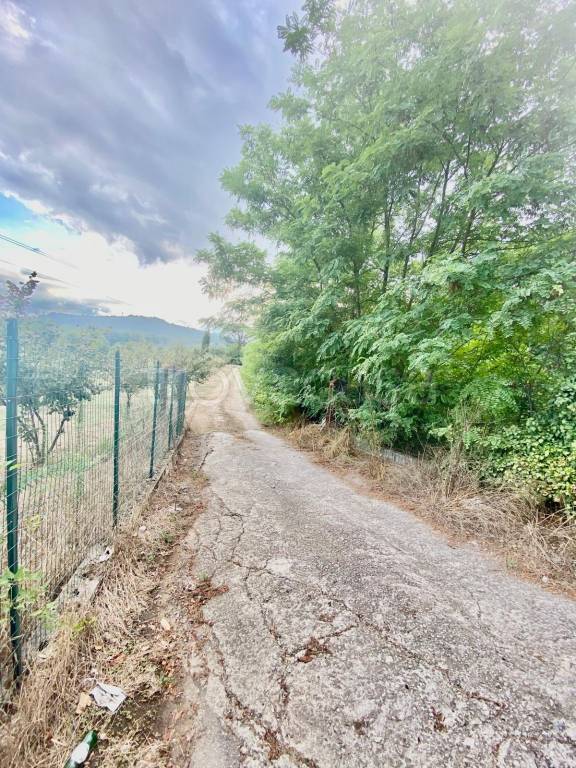 immagine annuncio 11 di 13