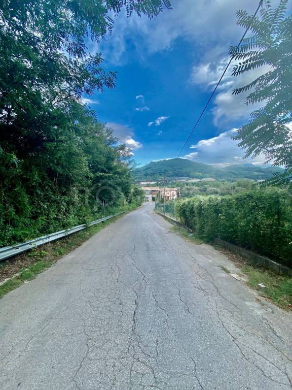 immagine annuncio 12 di 13