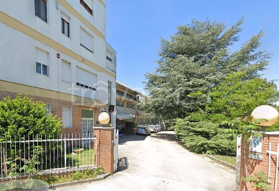 immagine annuncio 3 di 6